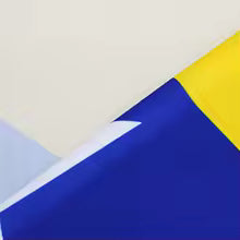 HoodFan Flagge – Bosnien Edition